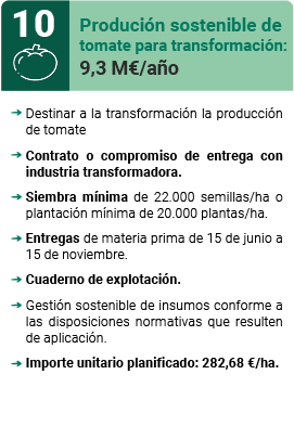 Producción sostenible de tomate para transformación