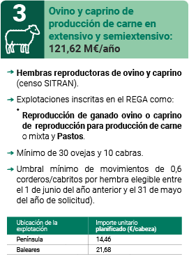 Ovino y caprino de producción de carne en extensivo y semiextensivo