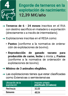Engorde de terneros en la explotación de nacimiento