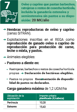 Ovino y caprino que pastan barbechos, ratrojeras o restos de cosecha hortícola, incluída la
                     ganadería extensiva y semiextensiva sin pastos a su disposición