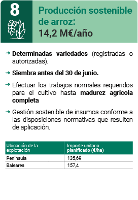 Producción sostenible de arroz