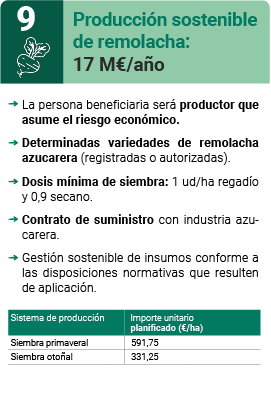 Producción sostenible de remolacha