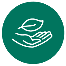 Seguridad social
