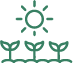 Tierras de cultivo de secano